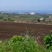 Farmer's fields