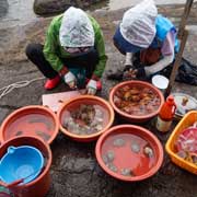 Selling seafood