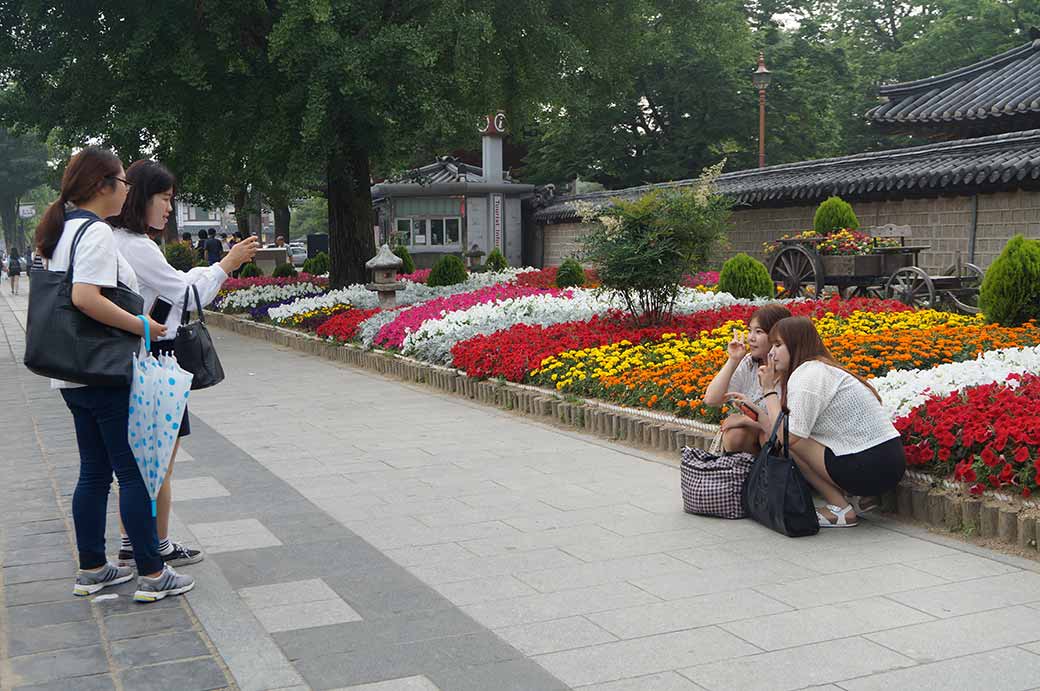 Photographing tourists