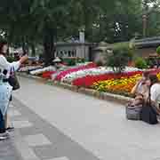 Photographing tourists