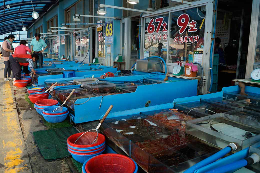 Dongmyeong Raw Fish Centre