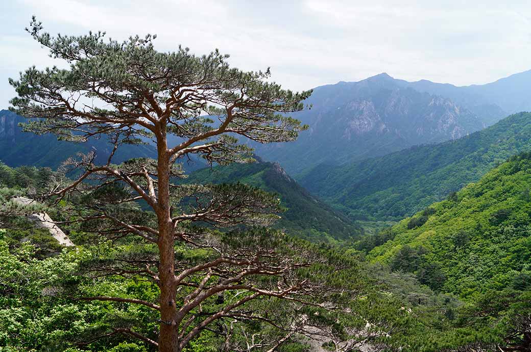 View, below Ulsanbawi