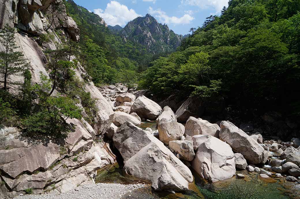 Rock formations, Bisondae