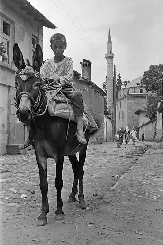 Boy on his donkey