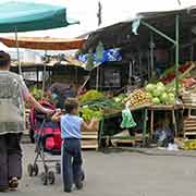 Shopping for vegetables