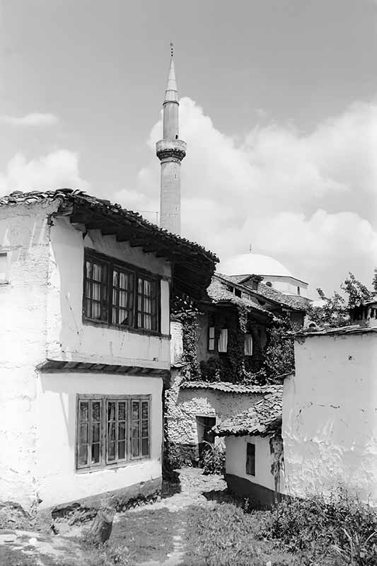 Traditional houses