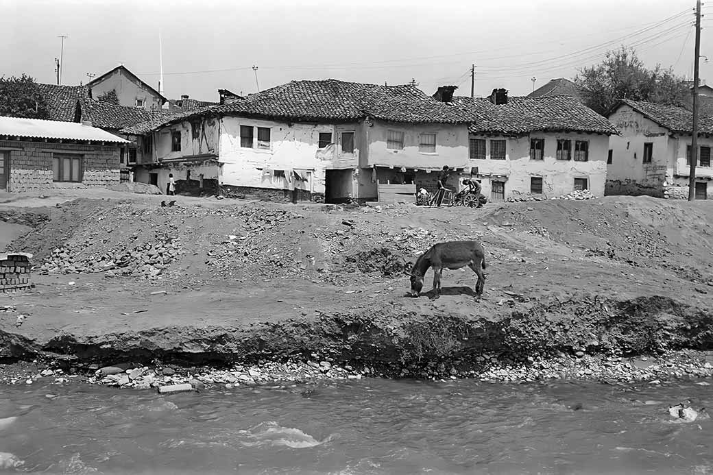 Across the Lumbardhi