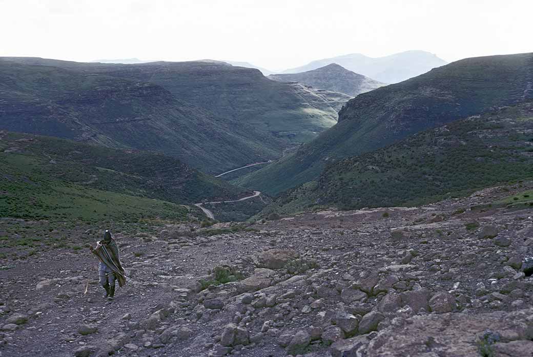 At Blue Mountain Pass