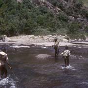 Walking in the river