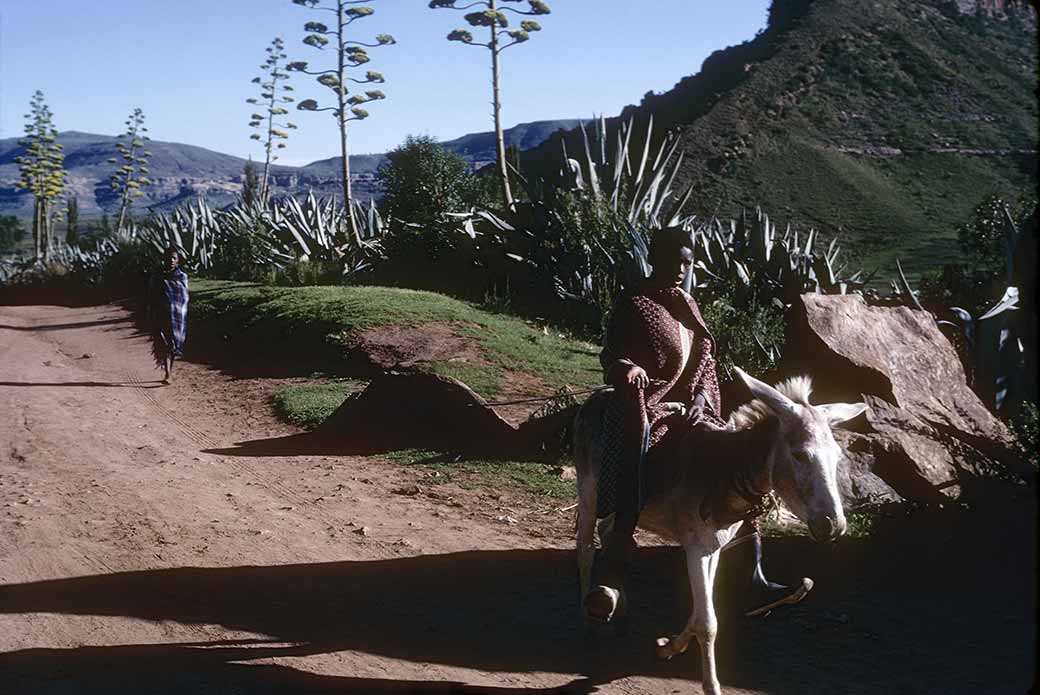 Riding a donkey