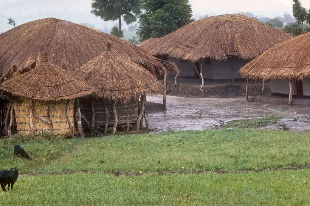 Homestead near Dedza