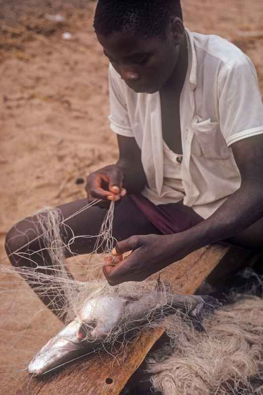 Boy with fish