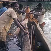 Fishermen, Chikale Beach