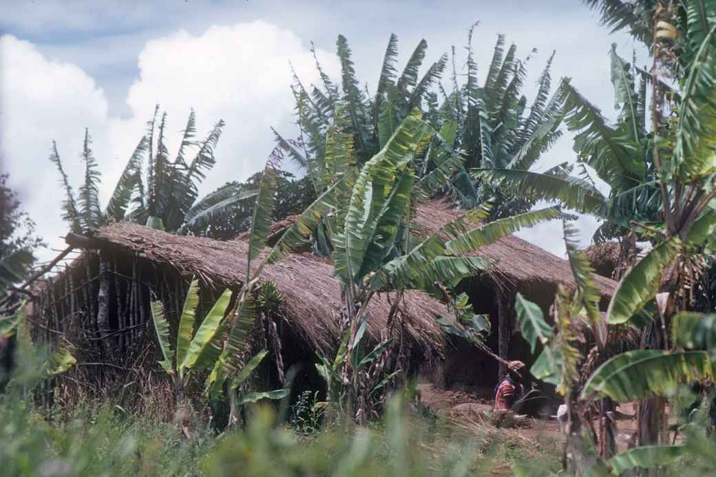 Huts near Mzuzu