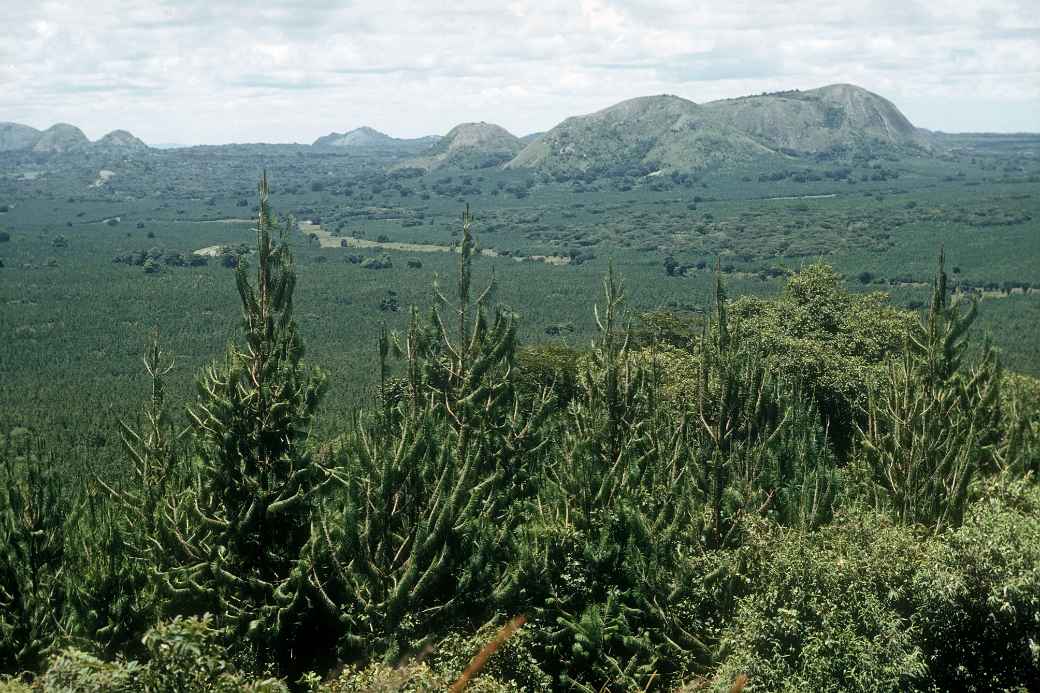 View to Vipya Mountains