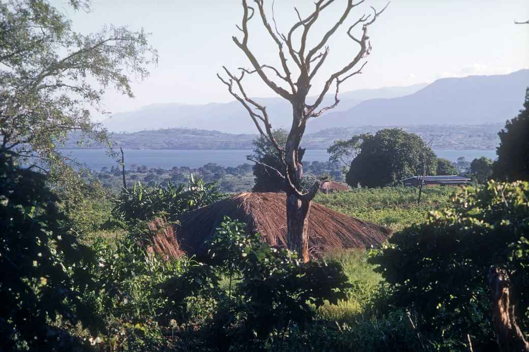 View, Chilumba