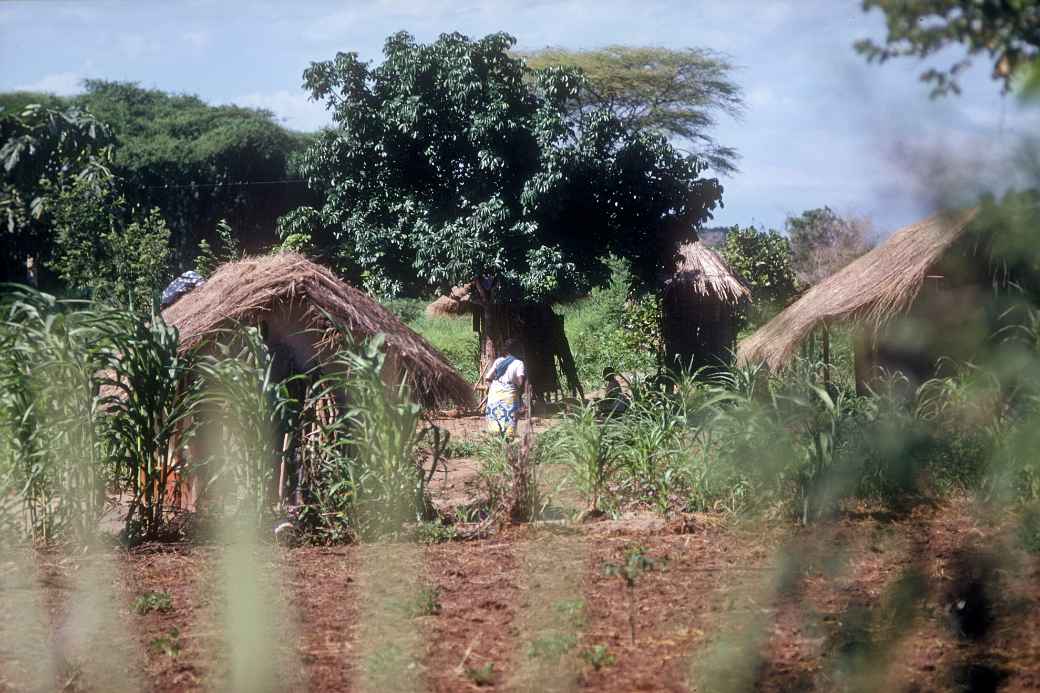 Along the road to Chitipa