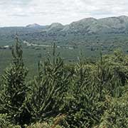 View to Vipya Mountains