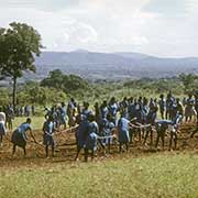 School children gardening