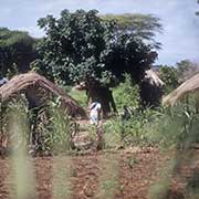 Along the road to Chitipa