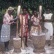 Women pounding cassava