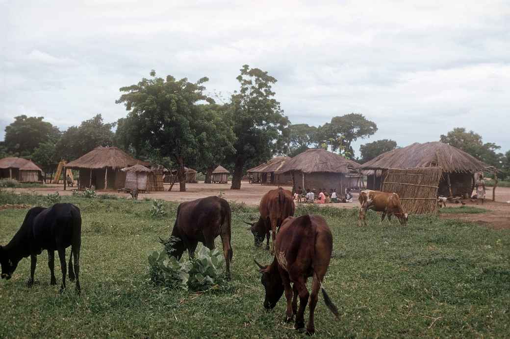 Village near Chikwawa