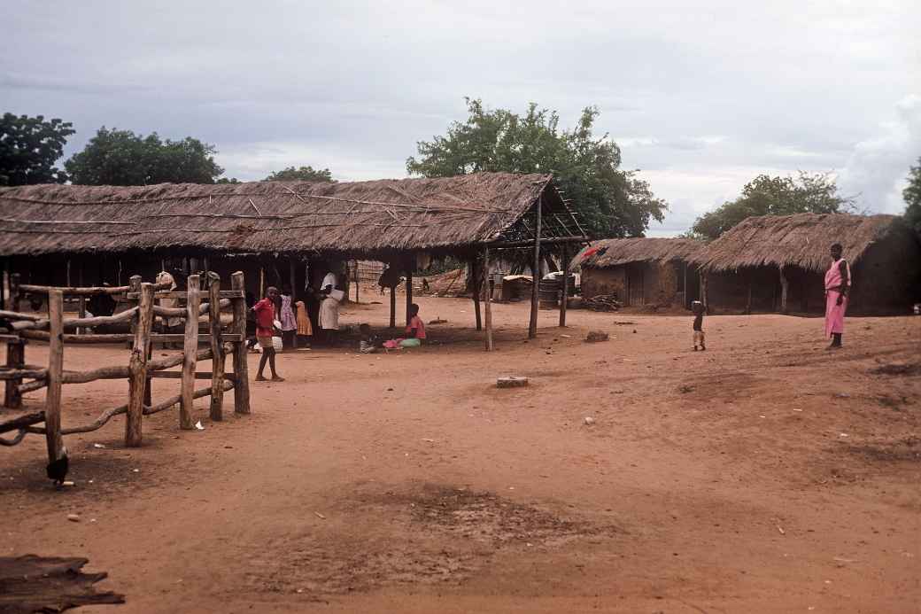 Market, Chikwawa