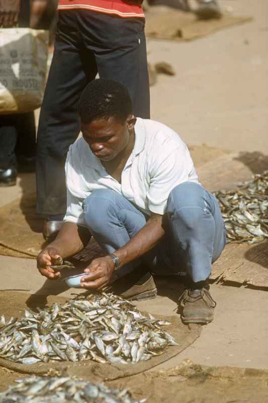 Selling fish, Thyolo