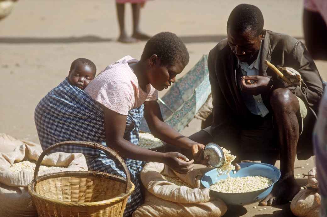 Measuring maize, Thyolo Market