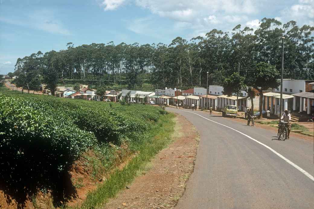 The road near Thyolo