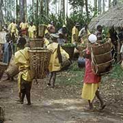 Workers, Thyolo Tea Estates