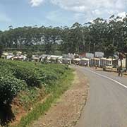 The road near Thyolo