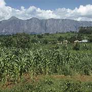 View to Mount Mulanje