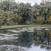 Sir Seewoosagur Ramgoolam Botanical Garden