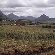 Les Mariannes cane fields