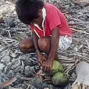 Alik peeling off coconut husk