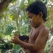 Young boy with his rooster