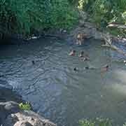 Pool, Wichon Falls