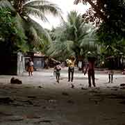 Carrying pandanus fruit into the village