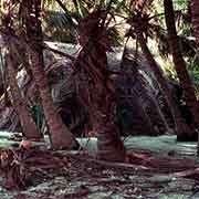 Traditional house, Nomwin island