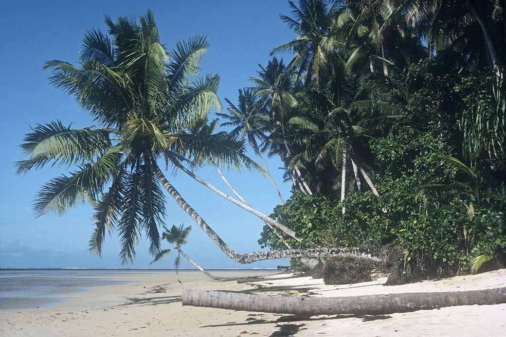 Beach in Walung, Kosrae