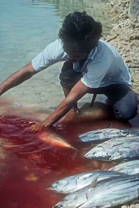 Edison Likiak with fish