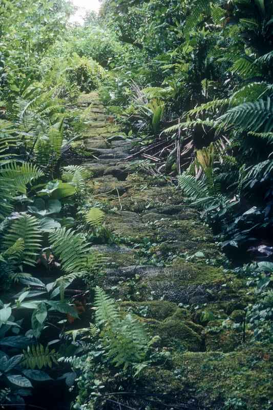 Path to the old mission, Mwot