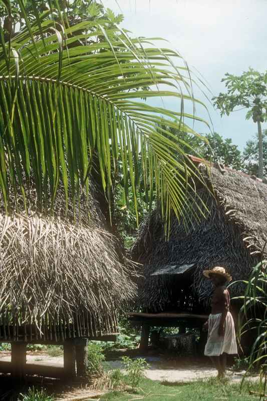 Traditional houses, Onoun