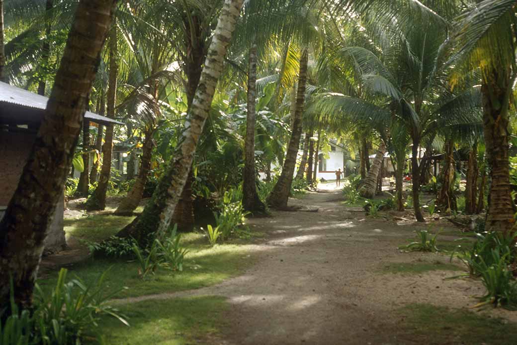 Path to church, Pulap