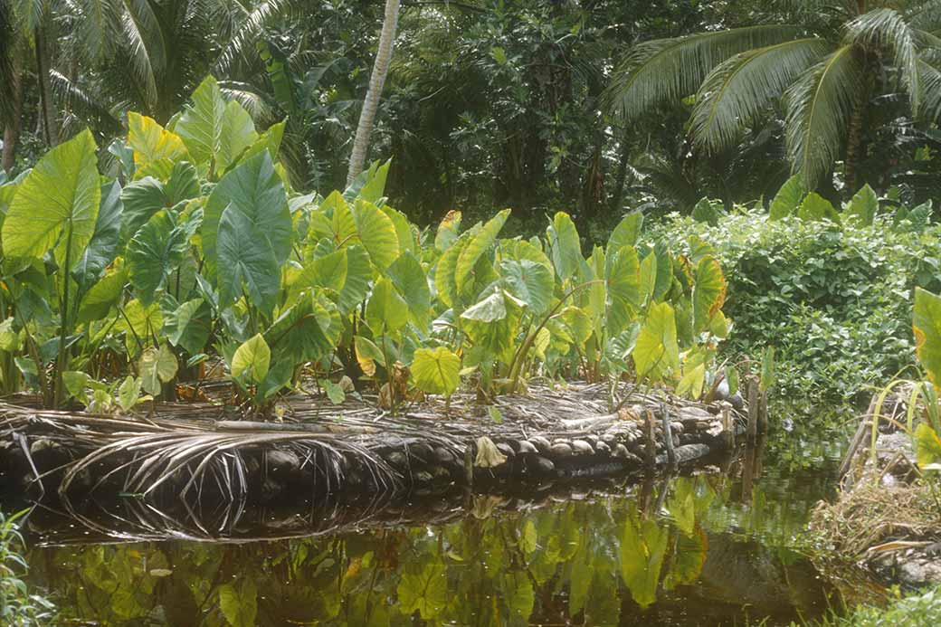 Taro island in Relong