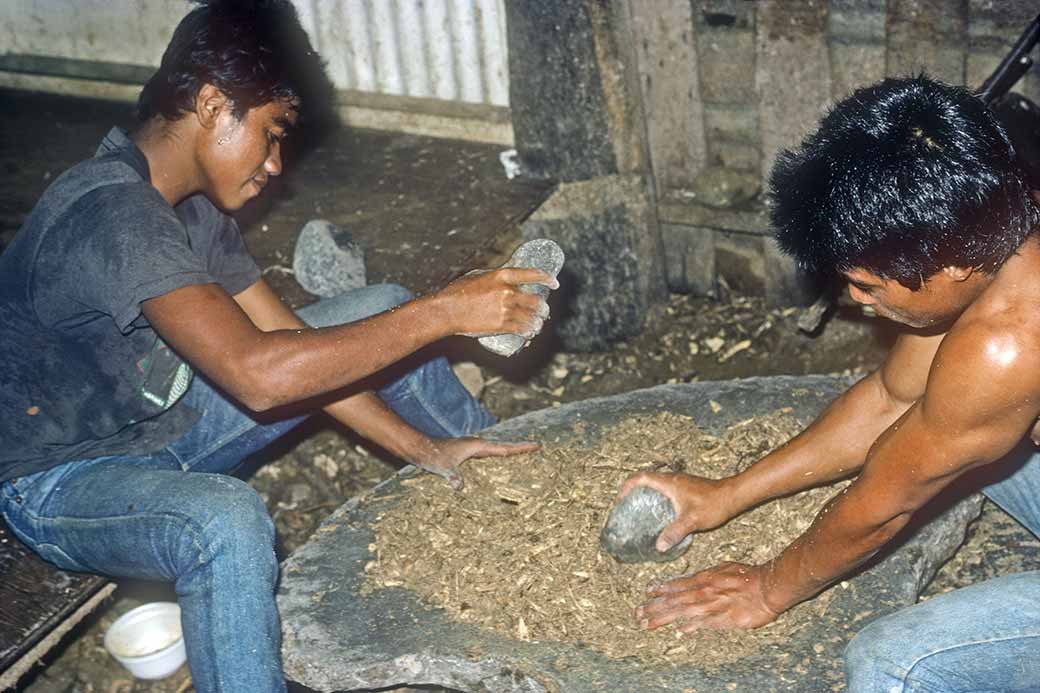 Pounding the sakau (kava) roots