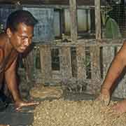 Preparation in a Sakau Bar