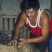 Putting the sakau roots in hibiscus bark