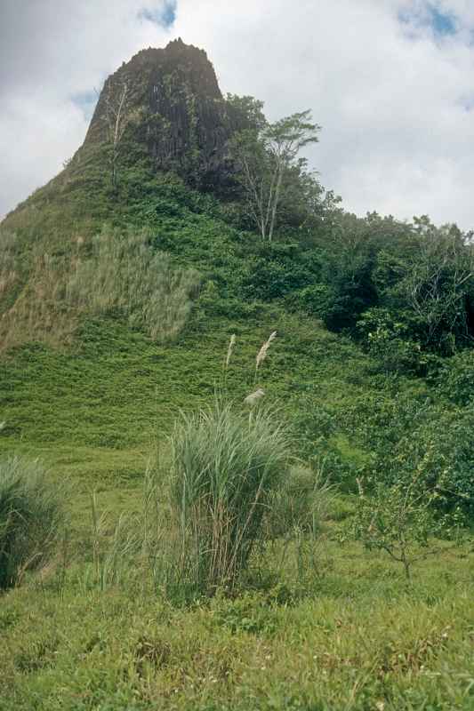 Birdshit mountain